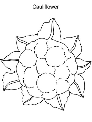 Couve-flor simples, fácil página para colorir, impressão gratuita