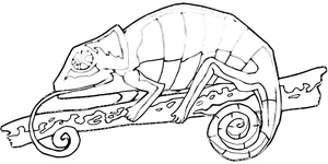 Desenho de Camaleão