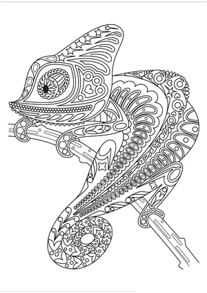 Página para Colorir Camaleão Maravilhoso