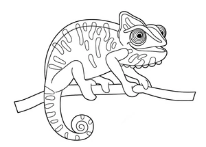 Página para Colorir Camaleão Sorridente
