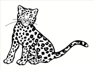 Página para Colorir Página de Colorir de Guepardo para Crianças