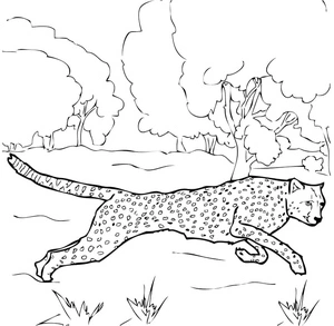 Página para Colorir Guepardo na Natureza