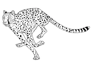 Página para Colorir Página de Colorir de Guepardo Fofo para Crianças