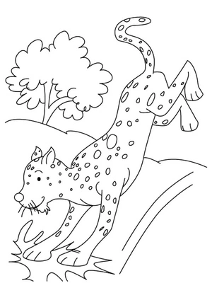 Página para Colorir Imagem de Guepardo para Imprimir