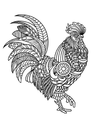Delícia Mandala de Frango