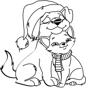 Cachorro e Gato Celebrando o Natal
