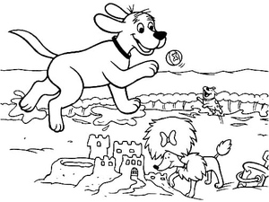 Clifford na Praia