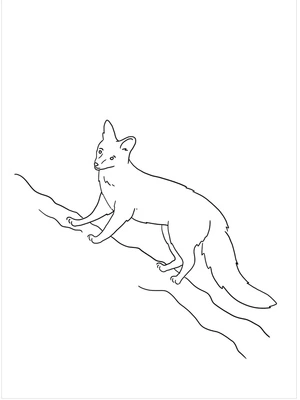 Página para Colorir Raposa Escalando Montanha