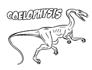 Página para Colorir Coelophysis Grátis