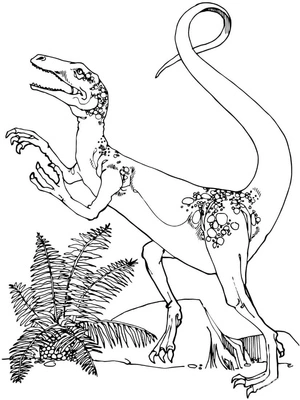 Coelophysis em ação, página para colorir detalhada de Coelophysis, imprimível grátis