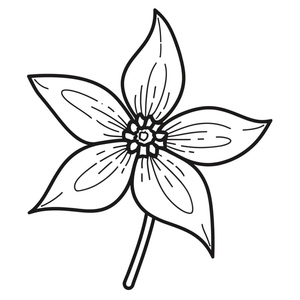 Página para Colorir Columbine