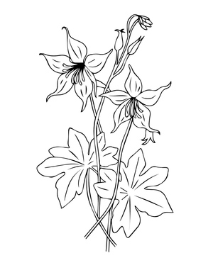 Columbine Grátis