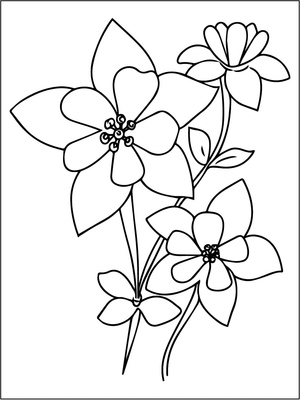Columbina