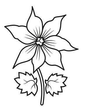 Página para colorir Print Columbine