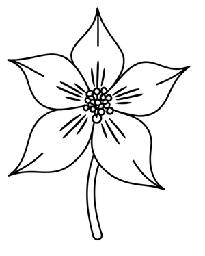 Página para Colorir de Columbina para Imprimir