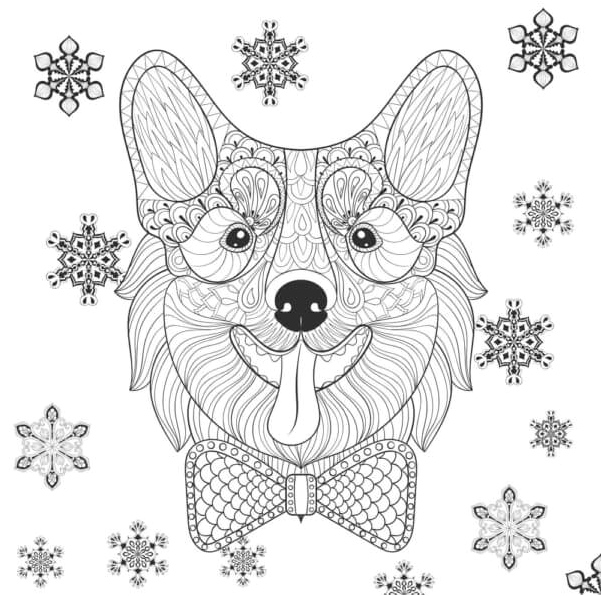 Página para Colorir Rosto de Corgi com Padrões Intricados