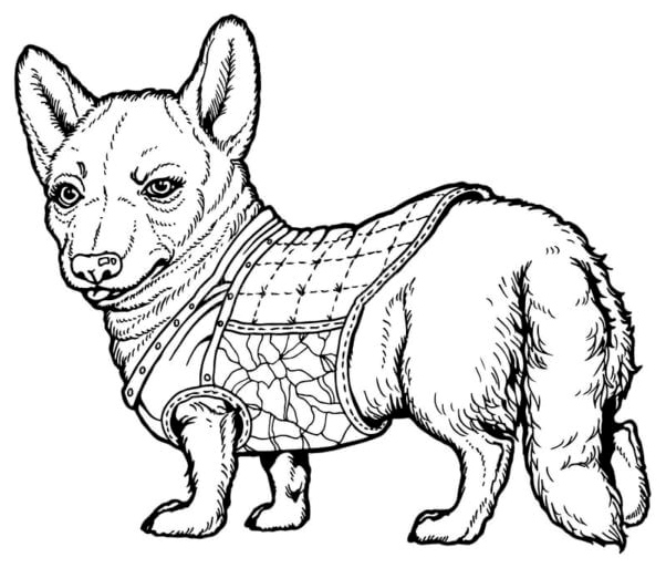 Página para Colorir Corgi estava vestida com roupas de inverno para não congelar.