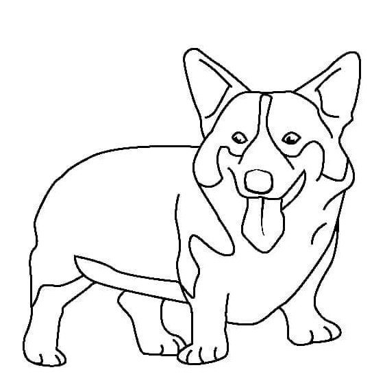 Página para Colorir Corgi Galês de Pembroke