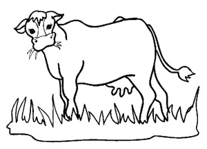 Página para Colorir Vaca no Campo