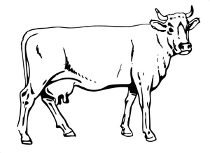 Página para Colorir Página de Colorir de Vaca Grátis para Crianças
