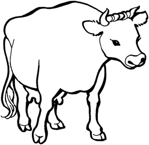 Vaca