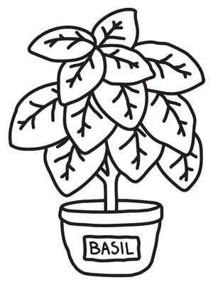 Página para Colorir Manjericão Cozinha Aconchegante
