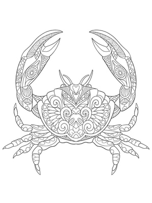 Página para Colorir de Caranguejo Adulto