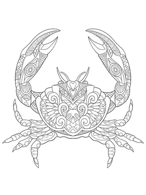 Página para Colorir Página para Colorir de Caranguejo Adulto
