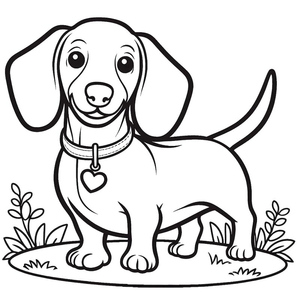 Dachshund Adorável