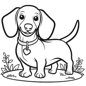 Página para Colorir Dachshund Adorável