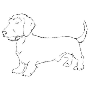 Página para Colorir de Dachshund disponível para download gratuito