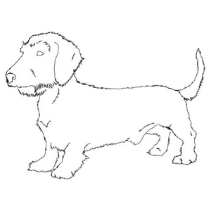 Página para Colorir Página para Colorir de Dachshund disponível para download gratuito