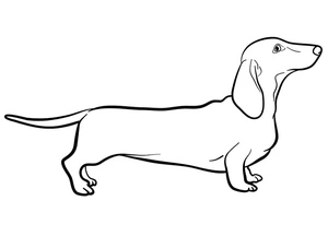 Página para Colorir Página para Colorir de Dachshund