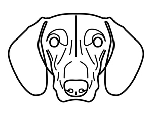 Retrato de Dachshund