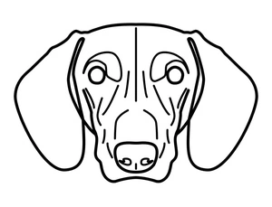Página para Colorir Retrato de Dachshund