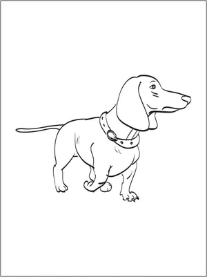 Página para Colorir Dachshund Grátis