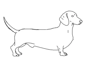 Página para Colorir Página para Imprimir de Cachorro Dachshund