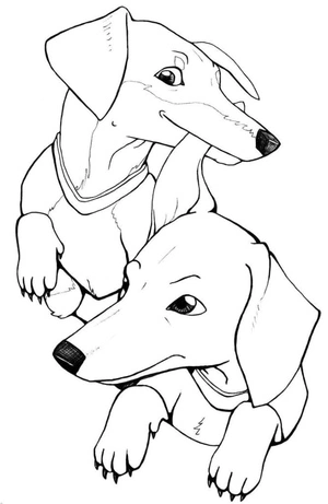 Página para Colorir Doce Cachorro Dachshund