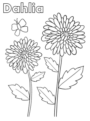 Página para Colorir de Borboleta e Dália