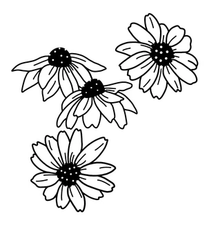 Página para Colorir Quarteto Margaridas