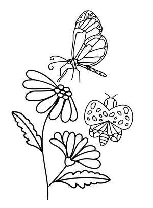 Página para Colorir Daisy e a Borboleta