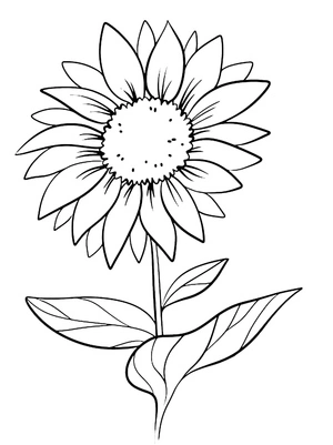 Página para Colorir Flor de Margarida Grátis