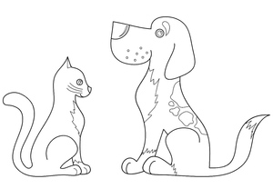 Gatos e Cães Básicos