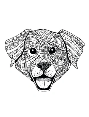 Página para Colorir Retrato Mandala de Cachorro