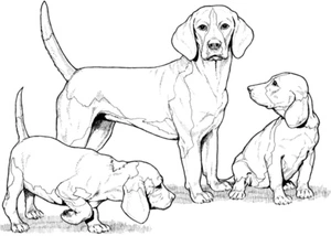 Página para Colorir Beagle e seus Filhotes