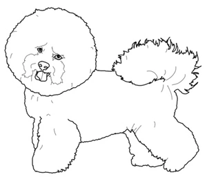 Página para Colorir Bichon Frisé - uma raça de cachorro pequena e peluda