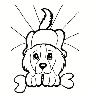 Cachorro com osso