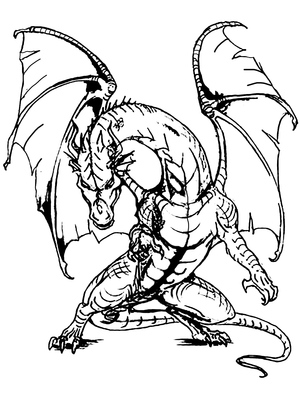 Dragão Furioso