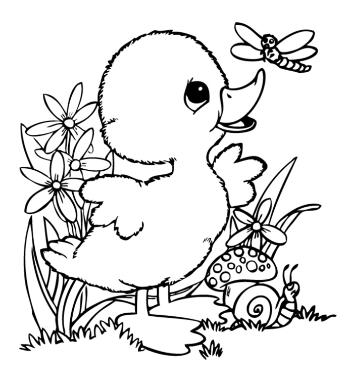 Página para Colorir Um pato brincando na natureza