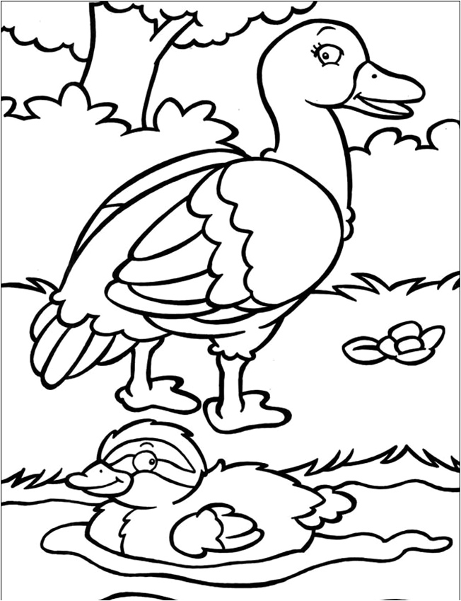 Página para Colorir Página para Colorir Pato - Folha 47